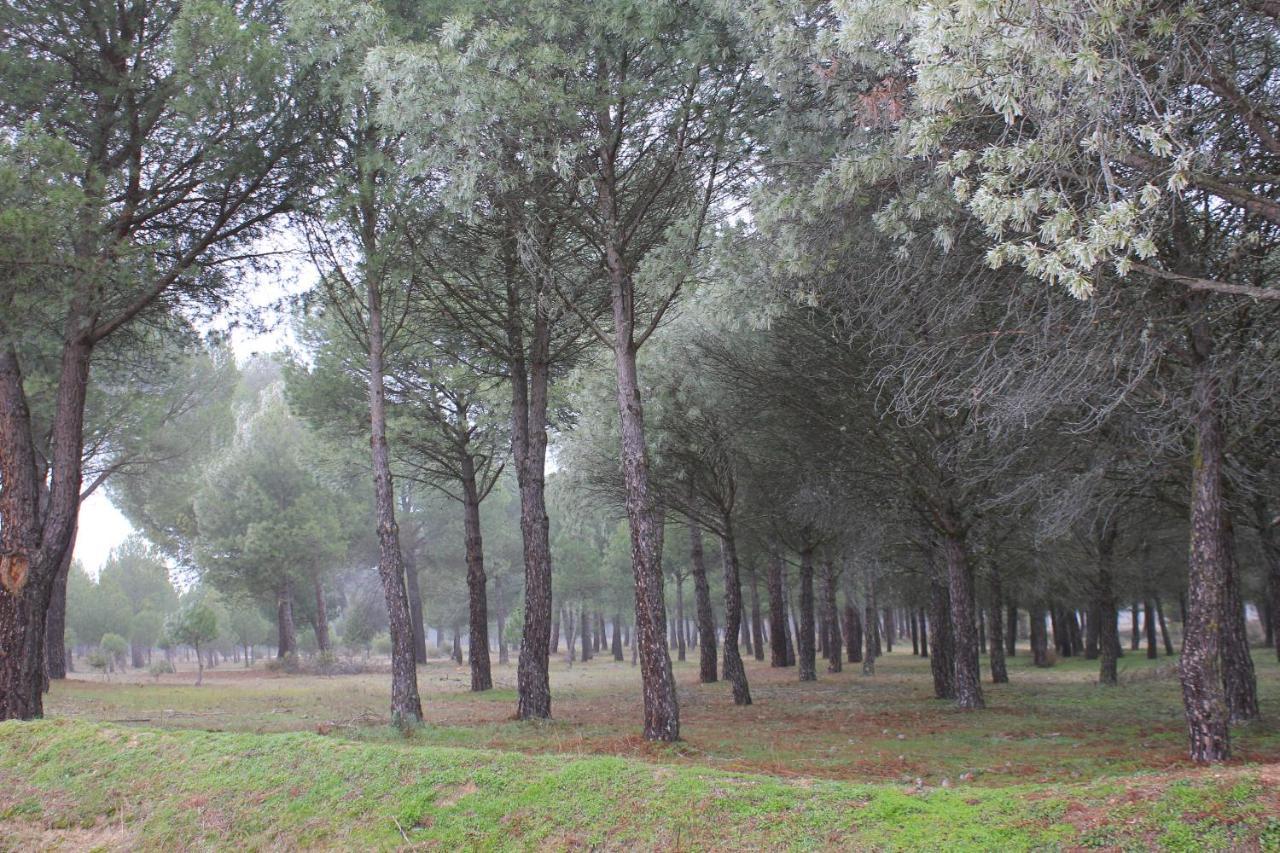 Las Gavias Matapozuelos ภายนอก รูปภาพ